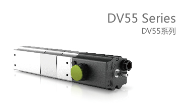 DV55系列